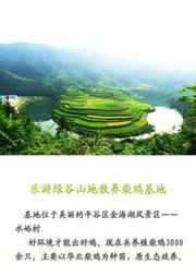 乐游绿谷——鸡蛋宅配年卡