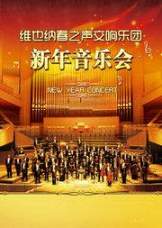 维也纳春之声交响乐团新年音乐会