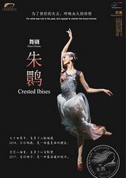 舞剧《朱鹮》——200场纪念演出