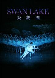 芭蕾荟萃:上海芭蕾舞团芭蕾舞剧《天鹅湖》
