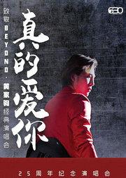 真的爱你—致敬BEYOND·黄家驹25周年纪念演唱会