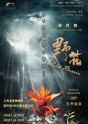 金星舞蹈作品《野花》