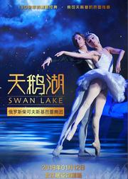 俄罗斯柴可夫斯基芭蕾舞团《天鹅湖》