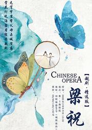 元宵节去老城隍庙听戏赏灯 经典越剧《梁山伯与祝英台》(精选版)