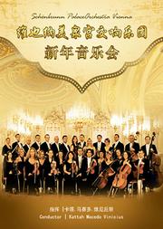 维也纳美泉宫交响乐团上海新年音乐会