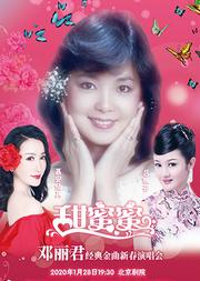 华艺星空.邓丽君金曲新春演唱会《甜蜜蜜》
