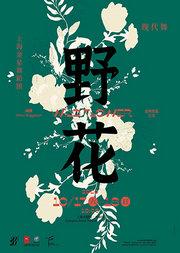 金星舞蹈团《野花》