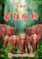 大型史诗木偶剧《象往版纳》