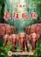大型史诗木偶剧《象往版纳》
