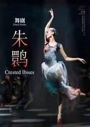 泱泱国风·舞动经典 :上海歌舞团《朱鹮》
