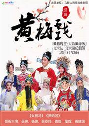 “黄梅瑰宝·大师演绎版”《女驸马》《罗帕记》领衔主演: 吴琼、杨俊、吴亚玲、袁玫、张辉、蒋建国