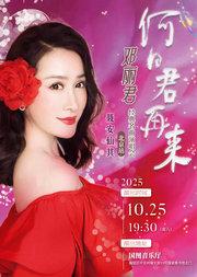 何日君再来--邓丽君经典名曲演唱会