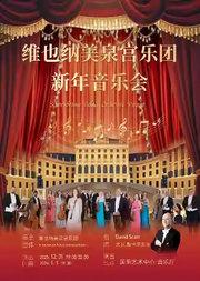 维也纳美泉宫乐团新年交响音乐会