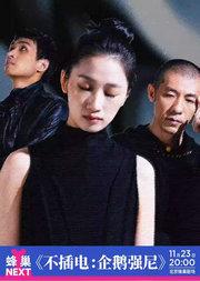 蜂巢NEXT 不插电音乐会：企鹅强尼