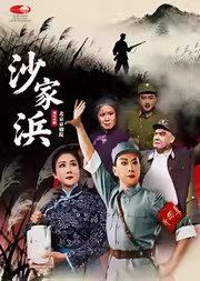 北京京剧院 现代京剧《沙家浜》