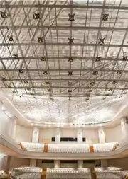 海德利希与国家大剧院管弦乐团演绎柴科夫斯基、莫扎特与雷格音乐会