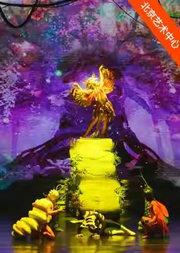 德州杂技团儿童杂技《决战凤凰谷》