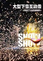 大型下雪互动秀《阿拉丁之魔法世界》