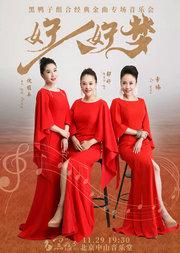 好人好梦—黑鸭子组合2026经典金曲专场音乐会