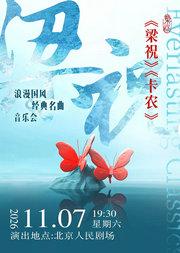 梁祝卡农唯美旋律经典名曲音乐会